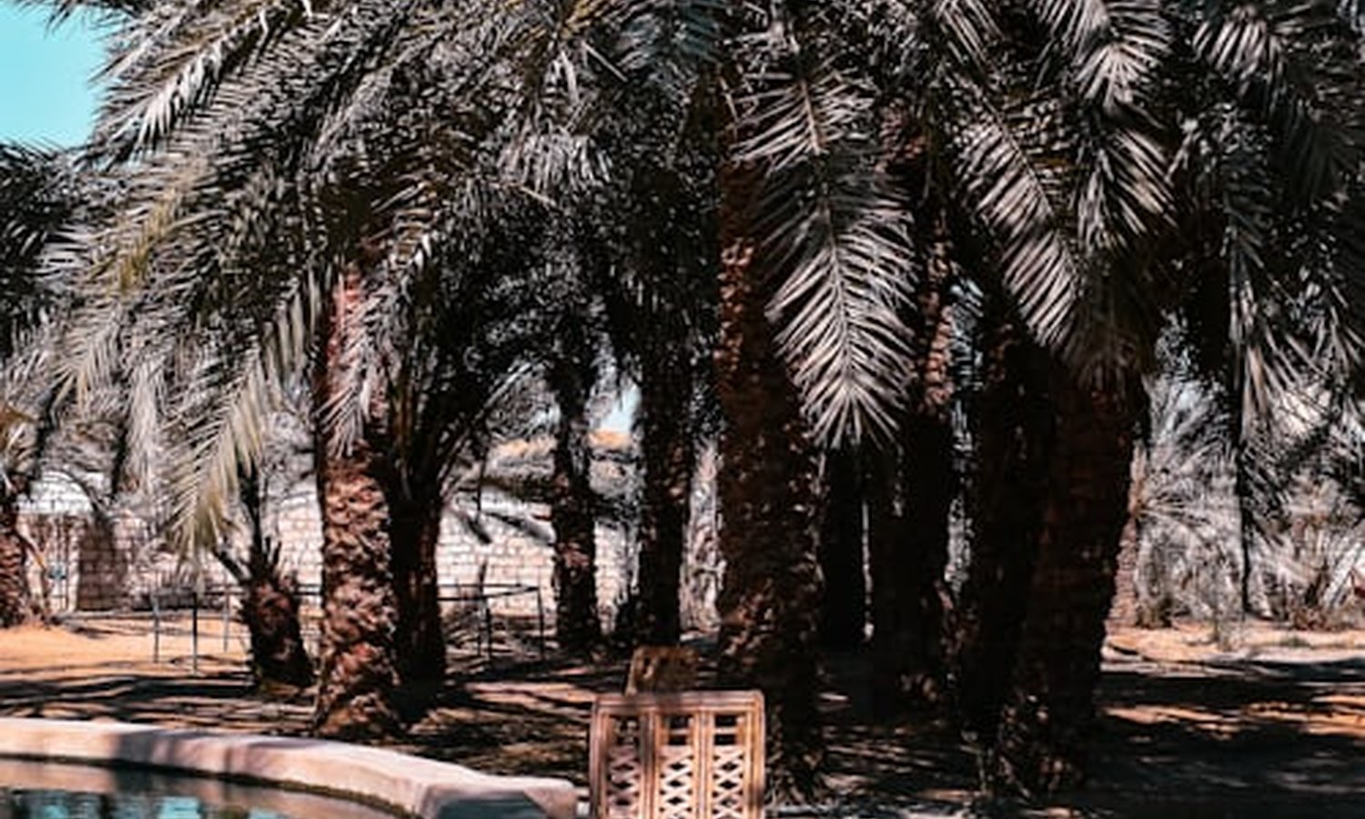 Siwa Total Solar Eclipse 2027 ( July 29 - Aug 03 )
